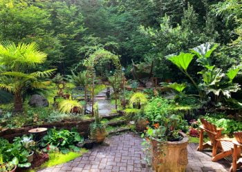 10 idei inovatoare pentru a-ți transforma grădina într-o oază de relaxare